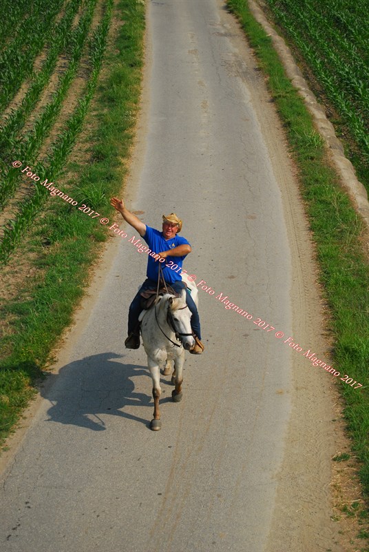 DSC_4986.JPG